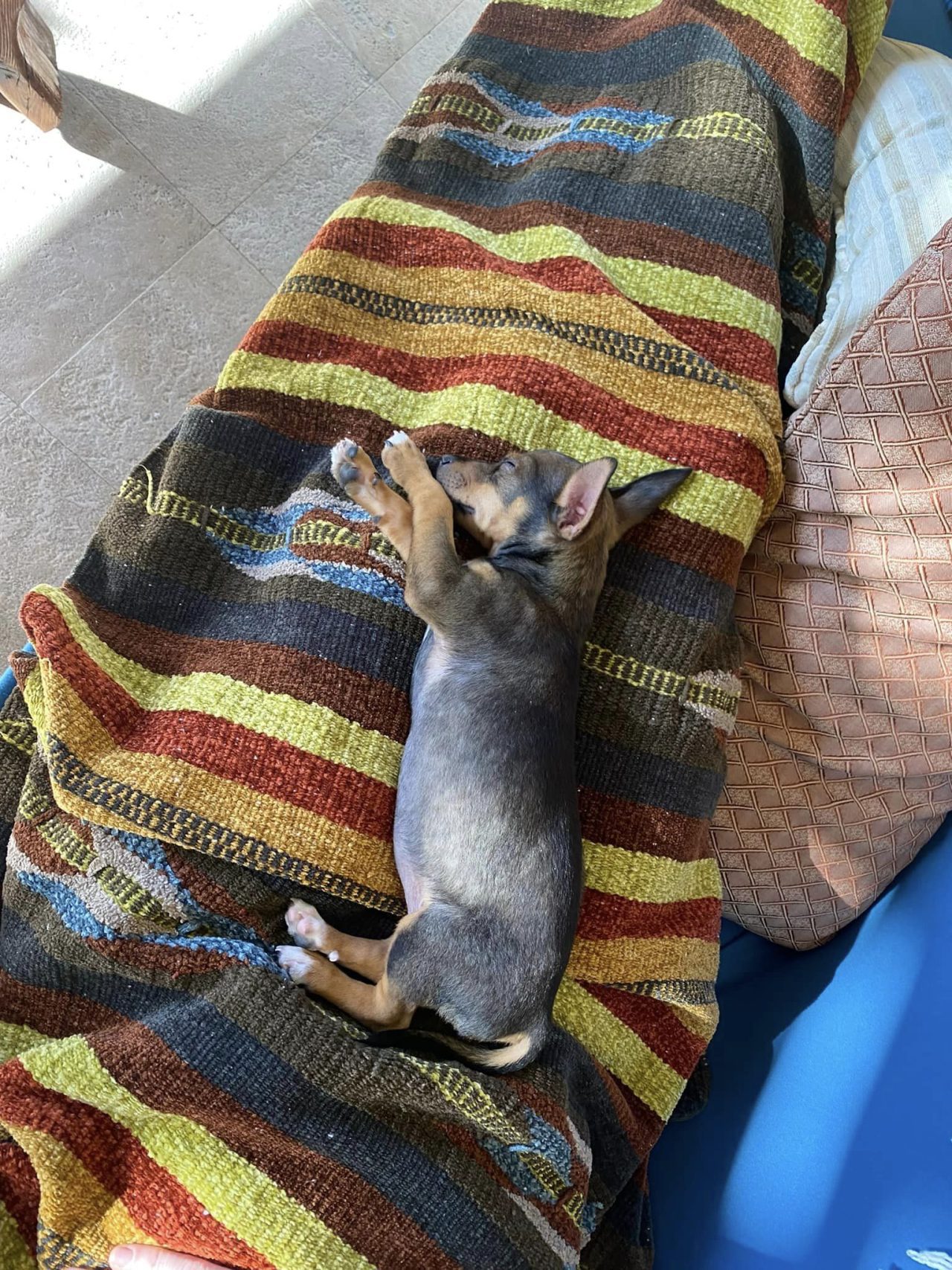 Sheridan Wyoming Home Builder High Plains Builders